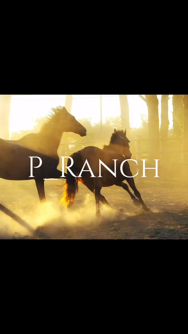 Autumn Lights, Horses and the freedom of dusty boots.P_Ranch#p_ranch #maremma #butteri