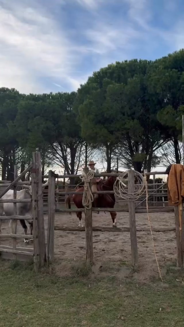 The passion of the herdsman – Cattle Work in Maremma.#p_ranch #p_ranch We have just bidden farewell to a truly wonderful weekend. A golden, sunny autumn has gently settled over the P. Ranch, breathing new life into our seasonal journeys as our autumn courses and programs now officially begin.