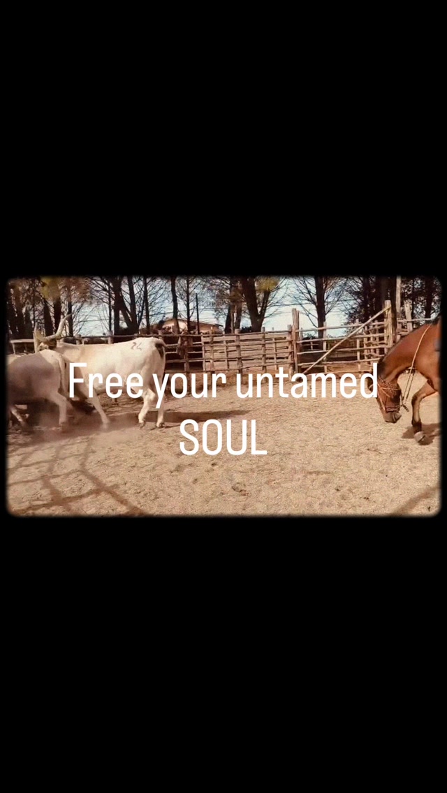 Ever feel like you are moving too fast to actually notice life?
Welcome to Free You Untamed Soul at Cow Work and P.Ranch, your ultimate escape to disconnect from the digital noise and reconnect with what truly matters.
Out here, it is not just about the big adventures. It is about mastering the art of noticing the small things:
• The crisp morning air before the herd wakes up
• The rhythmic sound of hooves hitting the dirt
• The grounding energy of real, raw cattle work
This is not a typical vacation. It is a space to ground your soul, learn traditional ranch skills, and find your wild side again.
Write DM to book your experience or get more details.
#UntamedSoul #CattleWork #PRanch #RanchLife #ReconnectWithNature CowboyCulture MindfulLiving OffTheGrid