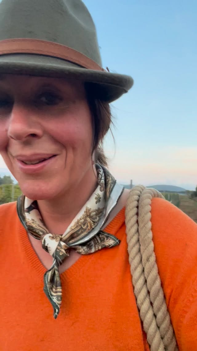 Nachbarschaftshilfe wird auf der P Ranch großgeschrieben – heute in Form einer unangekündigten Qualitätskontrolle. Unsere Esel sind ausgebüxt, um die Weinpflanzen des Nachbarn einem strengen Geschmackstest zu unterziehen.
Das Ergebnis: Esel einfangen, Schaden regulieren, Zaun flicken. Willkommen im echten Leben hinter den Kulissen. Bei uns gibt es keinen perfekten Schein, sondern nur den ungeschönten Rhythmus der Tiere und die drei Grundregeln der Ranch-Arbeit:
• Dinge gehen schief (mit bemerkenswerter Zuverlässigkeit).
• Man repariert sie.
• Man wird niemals fertig.
Ein einfaches Leben voller Staub und ewiger Baustellen. Ein riesiges Dankeschön an unsere Nachbarn für ihre stoische Geduld. Wir schulden euch mindestens eine Flasche Wein – aus Trauben, die die Langohren übersehen haben.
#PRanch #Esel #Nachbarschaftshilfe #RanchLife #LebenMitTieren Naturverbunden