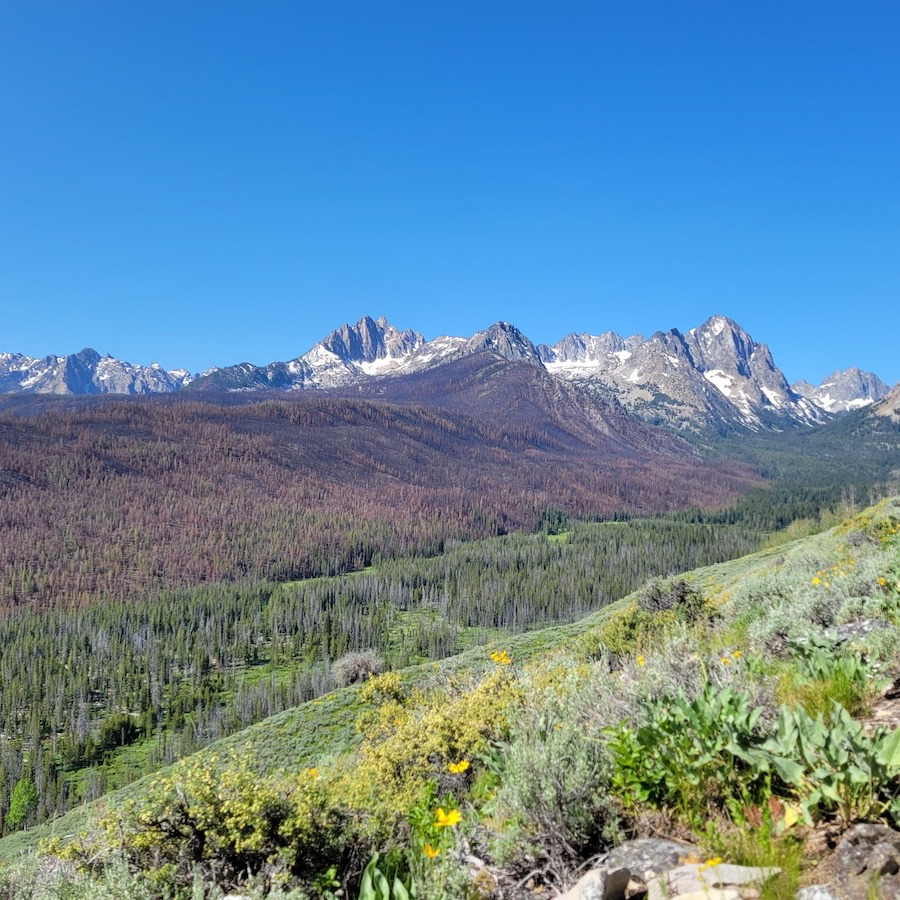 Last week, the Alpine Way crew experienced the full range of Idaho summer weather, from jumping in the lake to cool off to bundling up under a tarp to stay out of the snow! Based at Marshall Lake in the Sawtooth Wilderness, the crew backpacked in and worked along the Alpine Way trail, clearing 163 trees over 2.6 miles toward Goat Creek. At camp, the crew swatted mosquitos away while admiring the spring runoff waterfalls surrounding them. Towards the end of the trip, the heat turned to rain and snow, and after deciding one freezing night was enough the crew gathered tools and packed out early. Fun crosscut work, great conversation, and the unfazed smiles of the crew amidst the obstacles made this a stellar project!!
pics by: Sarah A, Abigail M., Rebekah S., Drew S., Nic T., and Alex C.