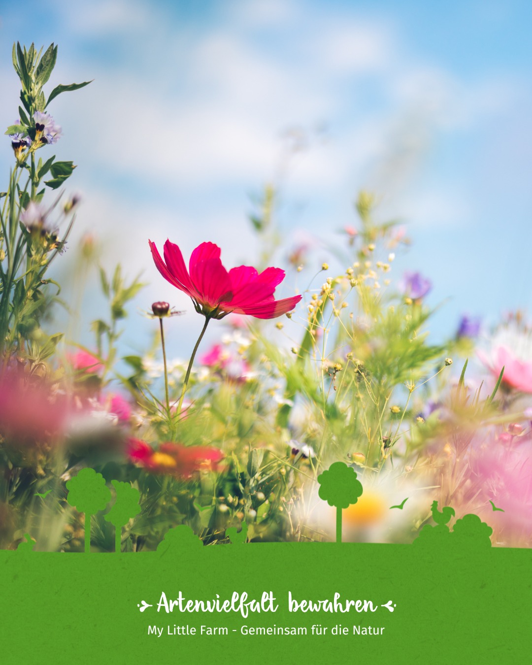 Manchmal hilft Nichtstun der Natur am meisten 🌿🐝Wer den Rasen