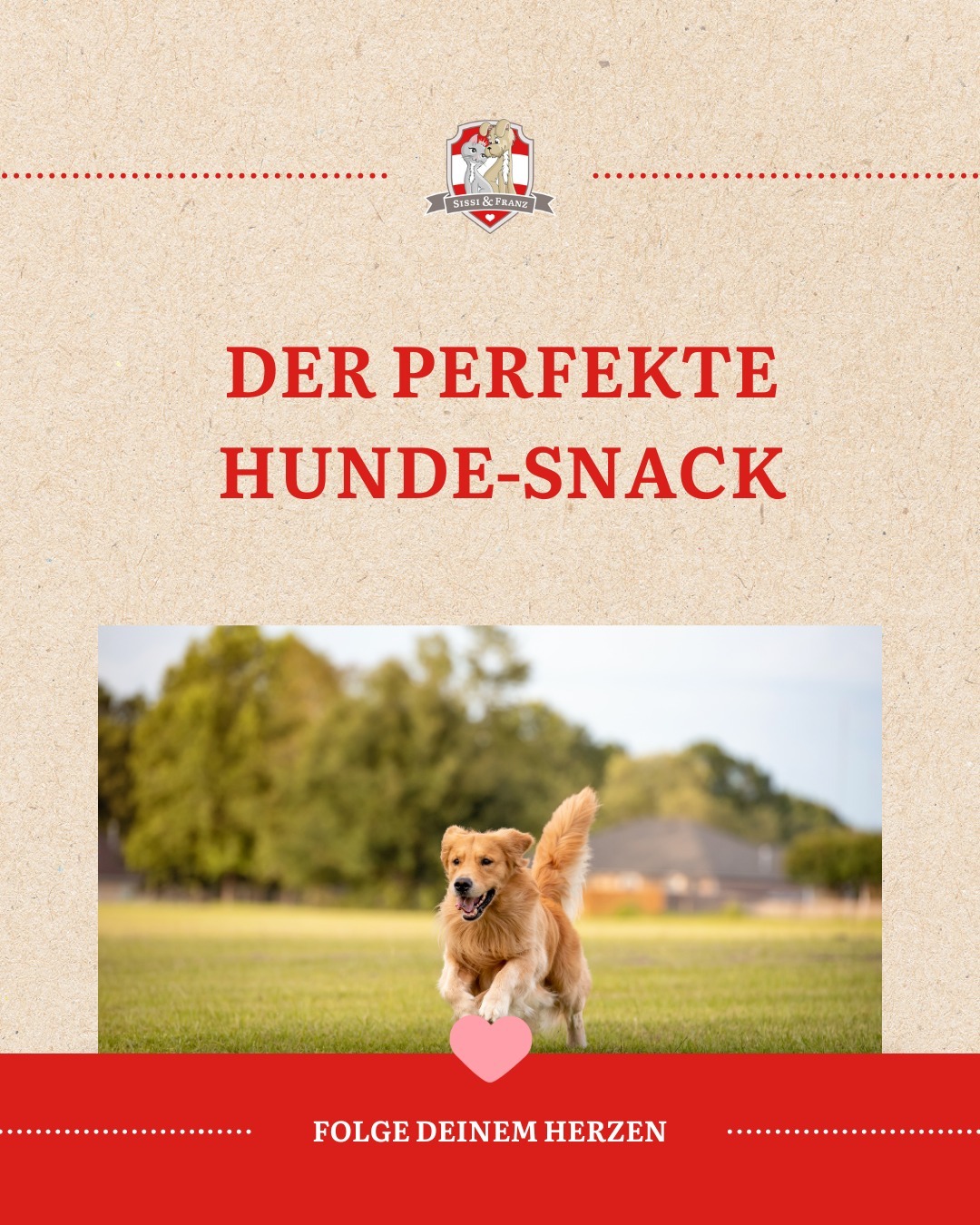 ❤️ Kleine Belohnung. Große Freude. 🐶Ob beim Training, auf dem