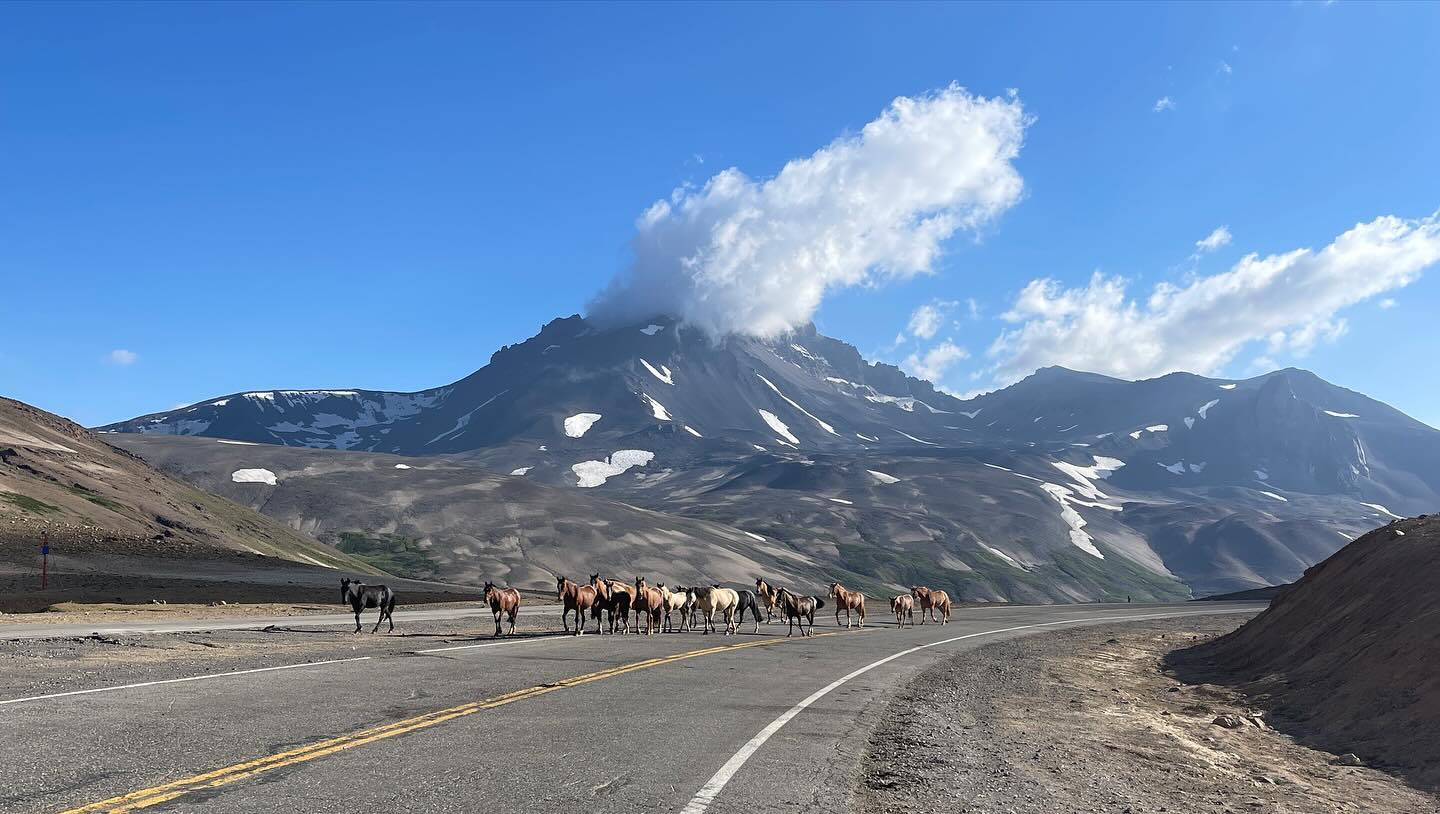 Am Tag des Abschieds vom Pazifik wurden wir auf der Straße ins Inland von der Gastfreundschaft der dort lebenden Menschen überrascht. In den folgenden Tagen ging es dann immer mehr bergauf, bis wir den Paso Pehuenche auf knapp über 2500 Metern erreichten. Die beeindruckende Berglandschaft, ein wunderschöner See und der Blick auf die Vulkane ließ uns die Anstrengung schnell vergessen, sodass wir oben sogar noch eine Wanderung machten. Anschließend ging es bergab nach Argentinien, wo uns allerdings leider mal wieder der Gegenwind einen Strich durch die Rechnung machte. In Malargüe verbrachten wir dann zwei Ruhetage, besuchten das Observatorium für kosmische Strahlung, sowie das nationale Ziegenfest.
Auf unserer Webseite gibt es wie immer einen ausführlichen Bericht zu diesem Abschnitt: https://www.zuzweitweg.de/suedamerika-23-24/paso-pehuenche/2024/03/29/