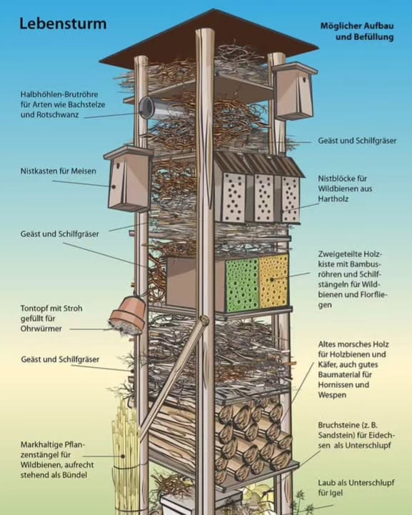 Baufortschritt: 2/3 Lebenstürme (Insektenhotel Deluxe)💪
Vielen Dank an den Besuch vom @bdkj_dv_mainz und @kjbsuedhessen 🪚🛠️⚜️ #72haktion