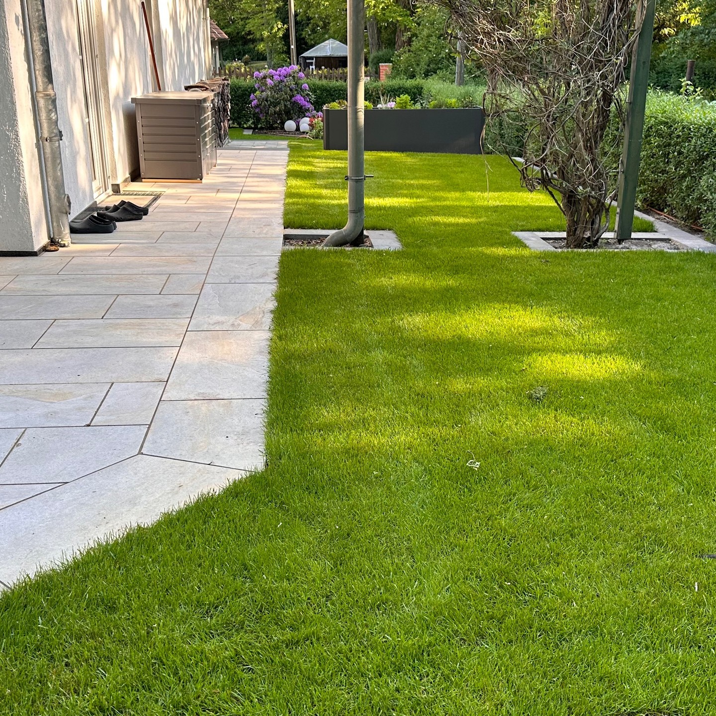 445640412 1510823596171145 5319793669395188387 n.jpg?stp=dst jpg e35 tt6& nc cat=108&ccb=7 5& nc sid=18de74&efg=eyJlZmdfdGFnIjoiQ0FST1VTRUxfSVRFTS5iZXN0X2ltYWdlX3VybGdlbi5DMyJ9& nc ohc= Dti deznpgQ7kNvwG bj7X& nc oc=AdkyRyR gasC3tfgah2bGTgYaWs3Hd4G0h9 dqLEMnNzeWf6WBUhUSxQhc4QthPrRKw& nc zt=23& nc ht=scontent dus1 1.cdninstagram