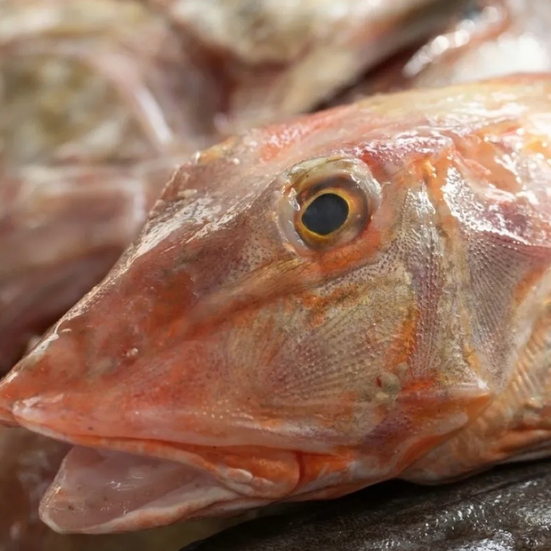 Toskanische Fischküche: Knurrhahn mit Zitronen-Kräuter-Sauce Zarte Knurrhahnfilets, knusprig gebraten und mit einer erfrischenden Zitronen-Kräuter-Sauce serviert – einfach, mediterran und perfekt für ein leichtes Abendessen! Du benötigst: 600 g Knurrhahnfilets, etwas Dinkelmehl zum Bestäuben, Salz nach Geschmack, etwas Natives Olivenöl extra.
**Für die Sauce**
2 Esslöffel Kapern, gut ausgedrückt, 2 Esslöffel Oliven, ein paar aromatische frische Kräuter (Petersilie, Thymian, Basilikum oder andere), etwas Zitronensaft, etwas Natives Olivenöl extra. Zubereitung: Den ausgenommen Knurrhahn waschen und trocknen, danach den Fisch in Dinkelmehl wenden. Ein paar Esslöffel natives Olivenöl extra in eine beschichtete Pfanne geben, heiss werden lassen. Die Knurrhahnfilets auf jeder Seite für 3-4 Minuten braten, bis sie schön goldbraun und knusprig sind. Danach für ein paar Minuten auf einen Teller mit Küchenpapier legen. Kräuter, Oliven und Kapern mit einem Messer fein hacken. Mit dem nativen Olivenöl extra und 1-2 Esslöffel Zitronensaft gut vermischen. Die Knurrhahnfilets mit der Kräutersauce und etwas Salat auf vorgewärmte Teller servieren. Lasst es euch schmecken! ❤️
#fishrecipes #ricetteitaliane #italia #foodlover #recetas #foodporn #fischliebe #italianfood #mediterraneanfoodrecipes #italiancusine #mediterraneanfood #mittelmeerküche #fishfood #gewürzederwelt #bibel #koriander #fischrezepte #rezepte