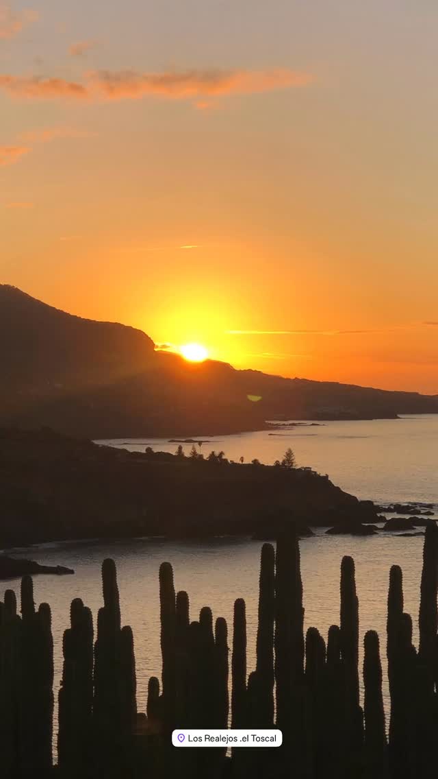 join us in our home in the north of the island of Tenerife
A peaceful retreat nestled away from the hustle and bustle — ideal for cloudgazing, creative breaks, and moments of deep rest.
Whether you’re here to hike and soak in nature, dive into creative projects, simply relax, or rediscover yourself — this is a place that holds space for it all. Kindred spirits often cross paths here, creating a beautiful space for connection and inspiration.
Our home is located on the edge of a quiet residential area in Los Realejos, just a short drive from the vibrant coastal town of Puerto de la Cruz. It offers the perfect balance of serenity and convenient access to shops, excursions, and local culture.
The house itself is cozy and welcoming, with a lush garden, sea views, and a hammock for dreamy afternoons. From time to time, you might see goats and their herdsman wandering the hillside nearby — a gentle reminder of the island’s slower pace.
We welcome guests for stays of 2 to 4 weeks. There are two single rooms available upstairs, and a private double room with its own entrance and bathroom downstairs. If needed, we’re happy to help arrange additional accommodations nearby in Puerto de la Cruz.
Accommodation Pricelist – Our House in Tenerife
two singles upstairs and one double room with private entrance + bath downstairs
Short-Term Stays (4–14 nights)
Single Room – €50 per night
Double Room – €69 per night
Long-Term Stays (15–30 nights)
Single Rooms only – €40 per night
All stays include access to the garden, shared kitchen, and peaceful surroundings.
Feel free to reach out with any questions or to check availability — we’d love to host you!
If you are interested, please contact us directly