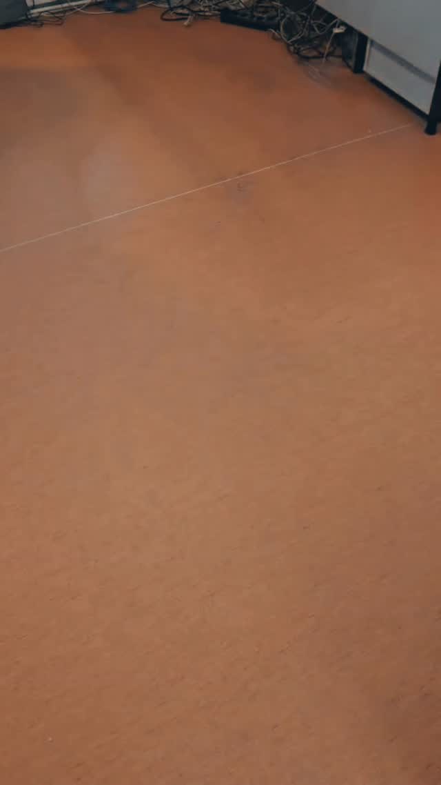 Januar 2026. Es ist an der Zeit auszuräumen 🧹
#spedition #lkwfahrer #berufskraftfahrer #lkwfahrerinnen #lkw