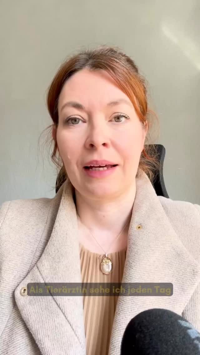 Als Tierärztin sehe ich jeden Tag, wie viel Unsicherheit beim Thema Hundefutter herrscht. 🐶
Und das Problem ist nicht, dass Menschen sich nicht kümmern.
👉 Im Gegenteil.
Die meisten wollen nur das Beste für ihren Hund. ❤️
Aber genau da wird es schwierig.
Weil man überall etwas anderes hört:
– „Fertigfutter ist schlecht“
– „BARF ist besser“
– „Achte auf die Prozentzahlen“
Und gleichzeitig sind viele Deklarationen alles andere als klar. 🤯
👉 Das Ergebnis?
Unsicherheit.
Fehlentscheidungen.
Und oft das Gefühl: „Ich blicke da einfach nicht durch.“ 😵💫
Und genau deshalb habe ich diesen Workshop entwickelt.
Damit du verstehst,
👉 was wirklich im Futter steckt 🔍
👉 wie du Deklarationen richtig liest 📑
👉 und wie du sichere Entscheidungen für deinen Hund triffst 🐾
📅 06.–10. April
Kostenloser Fertigfutter-Workshop
👉 Schreib WORKSHOP in die Kommentare
und ich schicke dir alle Infos 📩
Und jetzt interessiert mich:
Was verunsichert dich beim Thema Hundefutter am meisten? 💬
.
.
#hundeblog #hundeernährung #hundephysiotherapie #hundecoach #hundefriseur