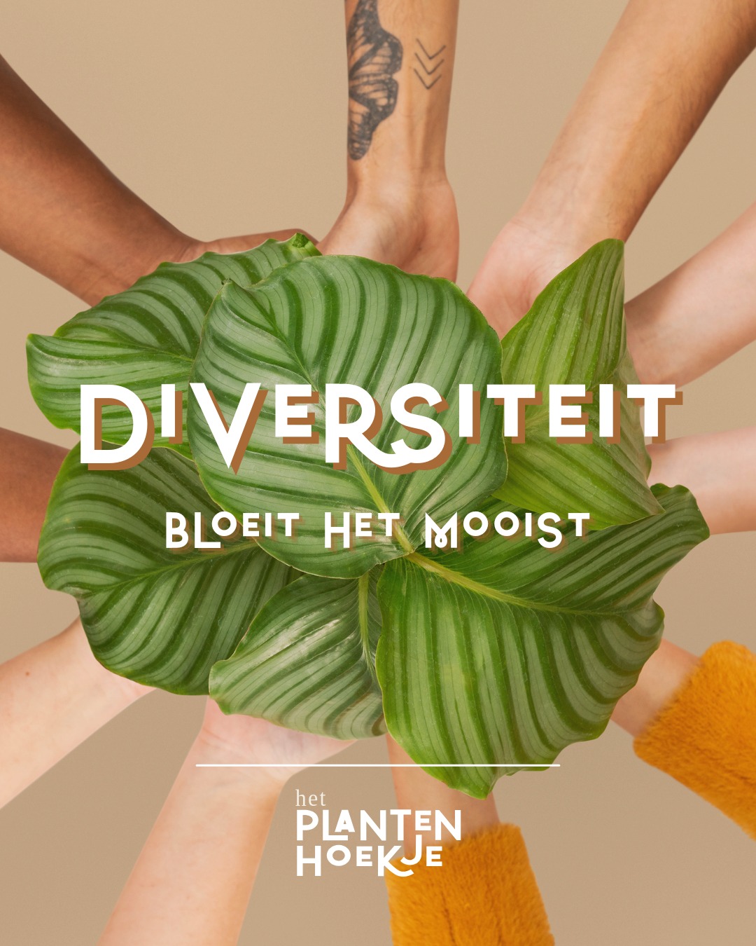 🌍 𝐕𝐚𝐧𝐝𝐚𝐚𝐠 𝐢𝐬 𝐡𝐞𝐭 𝐝𝐞 𝐃𝐚𝐠 𝐯𝐚𝐧 𝐝𝐞 𝐂𝐮𝐥𝐭𝐮𝐫𝐞𝐥𝐞 𝐃𝐢𝐯𝐞𝐫𝐬𝐢𝐭𝐞…