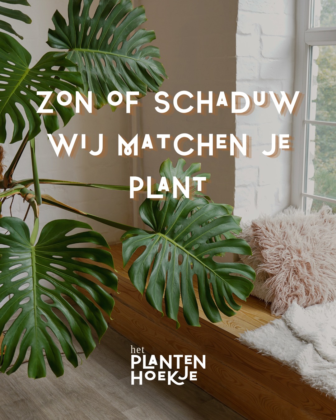 ☀️ 𝐕𝐚𝐧𝐝𝐚𝐚𝐠 𝐢𝐬 𝐡𝐞𝐭 𝐝𝐞 𝐃𝐚𝐠 𝐯𝐚𝐧 𝐝𝐞 𝐙𝐨𝐧𝐛𝐞𝐬𝐜𝐡𝐞𝐫𝐦𝐢𝐧𝐠 En…