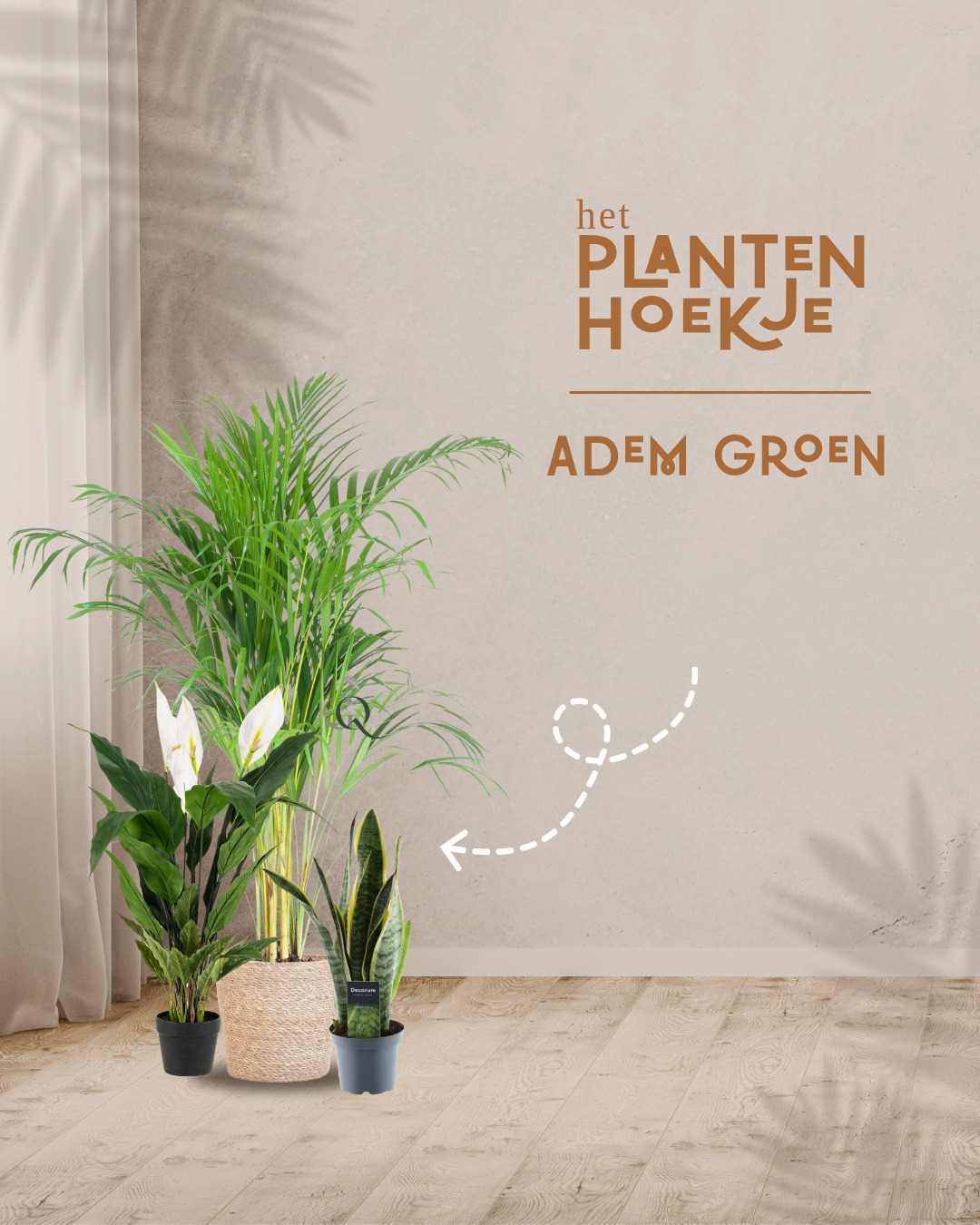 🌬️ 𝐕𝐚𝐧𝐝𝐚𝐚𝐠 𝐯𝐢𝐞𝐫𝐞𝐧 𝐰𝐞 𝐬𝐜𝐡𝐨𝐧𝐞 𝐥𝐮𝐜𝐡𝐭 𝐢𝐧 𝐡𝐮𝐢𝐬 En raad…