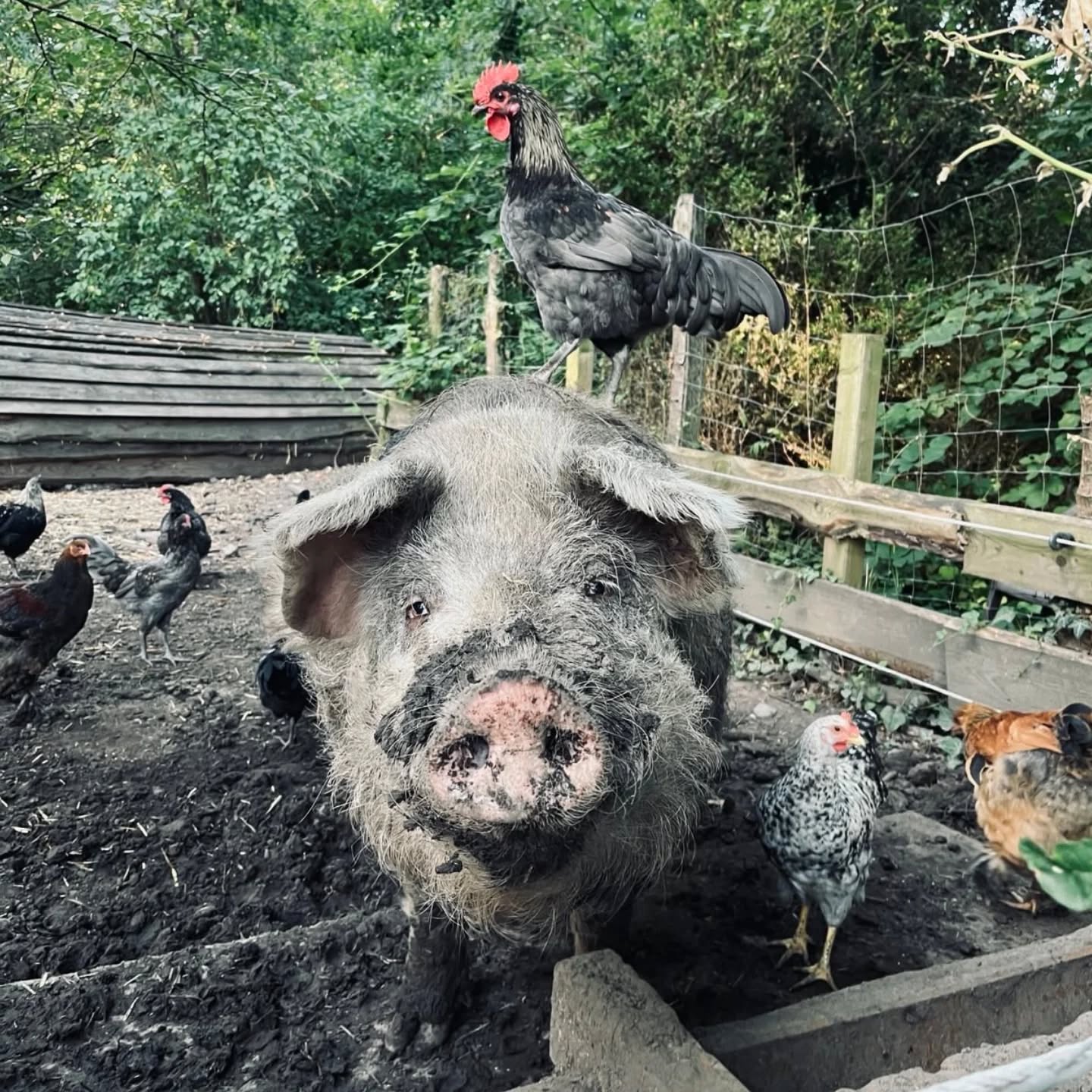 Wir wünschen Euch allen eine wunderschöne Woche und hoffen, Ihr habt genau so eine gute Zeit w....