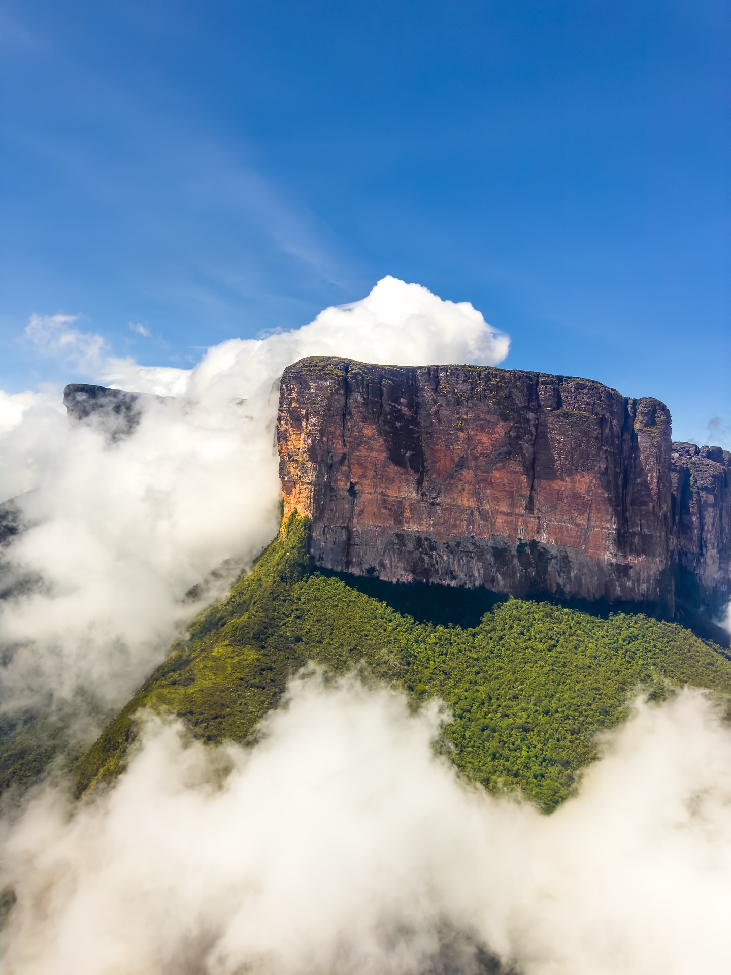 Canaima National Park… one of those places that hits different 😍! Raw, wild, and totally unreal. 🌿
Best time to go? May to November ( the falls are insane during rainy season!! )
Musts: boat rides under waterfalls, flying over the tepuis, seeing Angel Falls - the tallest waterfall in the world, and just soaking it all in! 👀
#travel #travelinspo #travelgoals #canaima