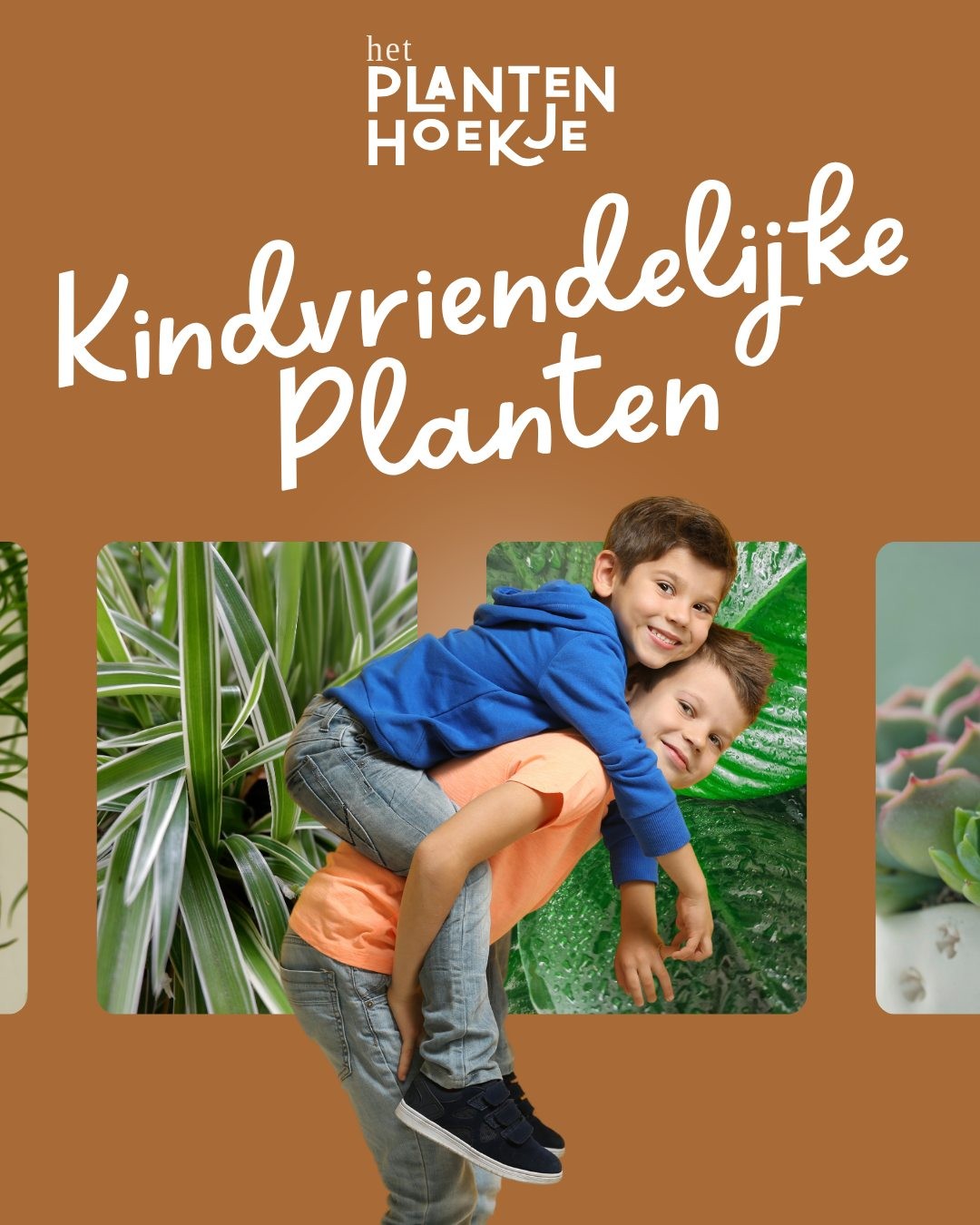 🌿✨ 𝐃𝐞 𝐥𝐞𝐮𝐤𝐬𝐭𝐞 𝐤𝐚𝐦𝐞𝐫𝐩𝐥𝐚𝐧𝐭𝐞𝐧 𝐯𝐨𝐨𝐫 𝐤𝐢𝐧𝐝𝐞𝐫𝐞𝐧 ✨🌿 Een pl…