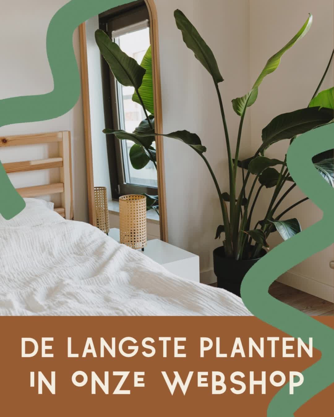 𝐖𝐢𝐬𝐭 𝐣𝐞 𝐝𝐚𝐭 𝐝𝐞 𝐠𝐞𝐦𝐢𝐝𝐝𝐞𝐥𝐝𝐞 𝐍𝐞𝐝𝐞𝐫𝐥𝐚𝐧𝐝𝐬𝐞 𝐦𝐚𝐧 𝐧𝐮 𝐧é𝐭 𝐢…