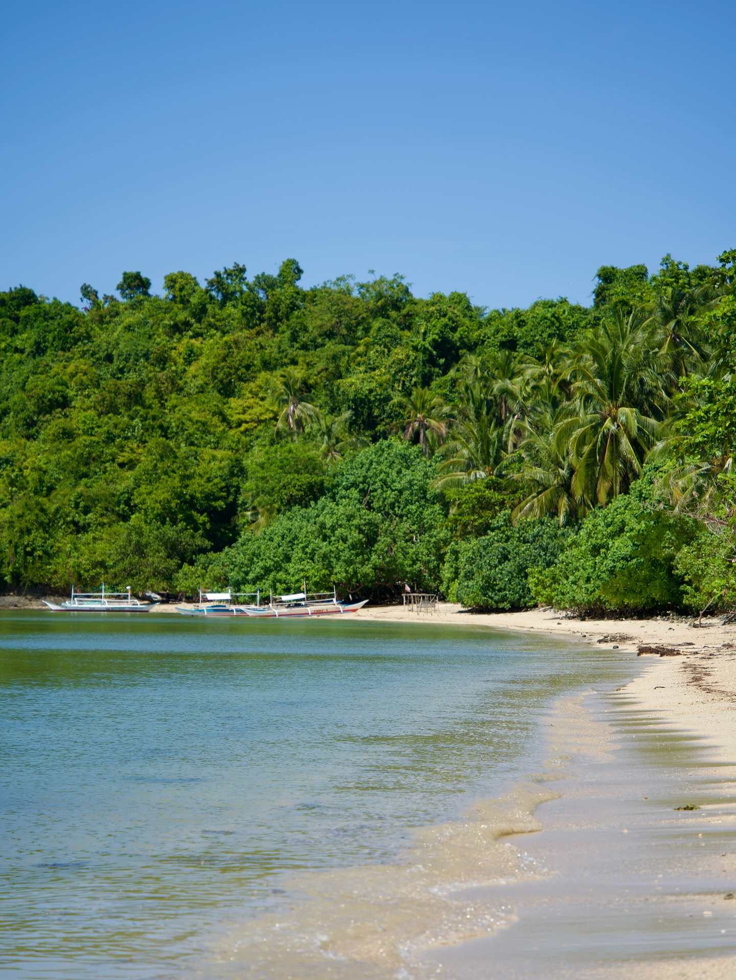 3 Must-Do’s in Port Barton, Philippines 😍⤵️
1️⃣ Island Hopping: Spend a day visiting small islands around Port Barton. The water is turquoise, the beaches are quiet, and the fish are colorful. Some spots feel completely private..like your own little paradise! 🤩
2️⃣ Snorkeling at German Island: The coral reefs here are beautiful. I saw clownfish, parrotfish, and starfish in the clear water. It’s like swimming in a natural aquarium.
3️⃣ Hike to Pamuayan Falls: Just a short ride from Port Barton, you can hike through the jungle to Pamuayan Falls. The waterfall flows into a clear pool, perfect for swimming. It’s peaceful and feels like a hidden gem!
#travel #travelgoals #traveltips