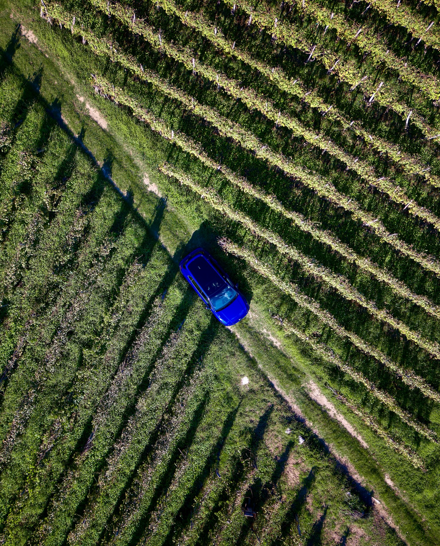 *Ad - The first-ever @volkswagen_r Experience – and I got to be part of it. 🇭🇷✨An unforgettable journey through Krk, Croatia, where performance met pure adventure: driving the latest R models along coastal roads, discovering local vineyards, exploring the coastline on jetskis, all combined with a healthy lifestyle.It wasn’t just about horsepower – it was about experiences in a likeminded group. 😊From sunrise workouts to sunset dinners and endless ocean views, this trip had it all.Big thanks to @volkswagen_r for creating something truly special – and the best part: you can join their next adventures too. 🚙💨👉 Find out more on their page!#BeWhoYouAre #RExperience—Golf R: Power consumption combined: 8.5-8.1 l/100 km; CO₂-emissionscombined: 192-183 g/km; CO₂-class G.Touareg R eHybrid: Power consumption weighted combined: 25.6-24.6 kWh/100km plus 2.5-2.2 l/100 km; fuel consumption (discharged battery) combined: 9.7-9.2l/100 km ; CO₂-emissions weighted combined: 57-50 g/km ; CO₂-class weightedcombined: B; CO₂-class (discharged battery): G.