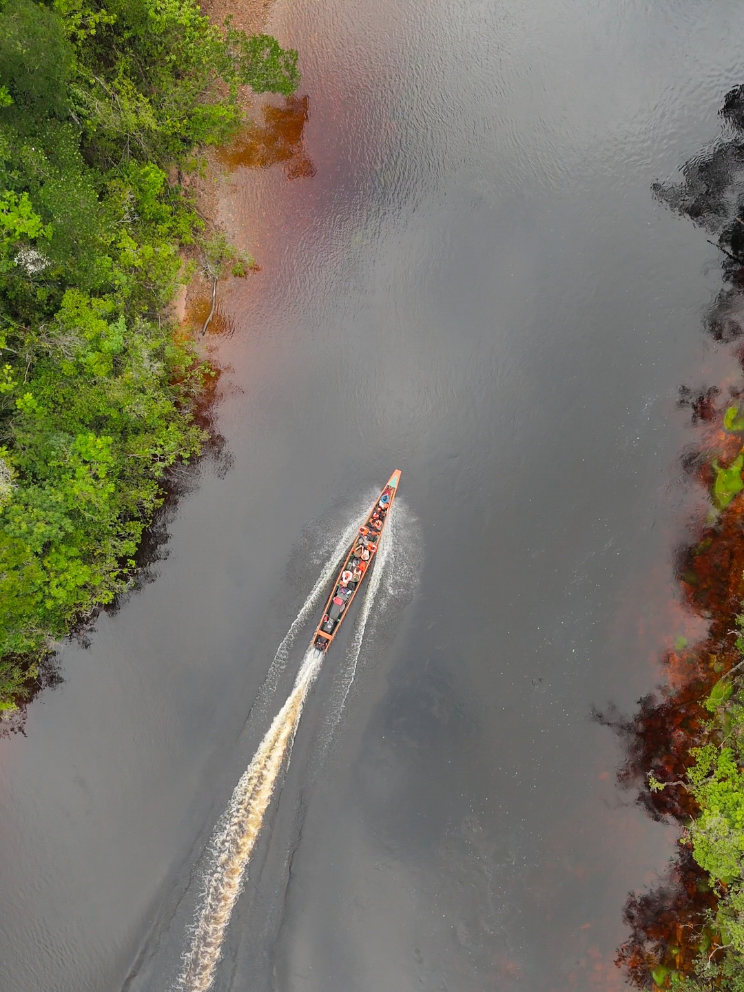 On the way to Angel Falls, we traveled by boat through the jungle in Canaima National Park 🌿. The views were amazing.. big cliffs, thick trees, and the river all around us 💦. We stopped a few times and saw some really interesting insects. The whole trip felt wild and unforgettable 😮!!#travel #traveltips #travelgoals #explore