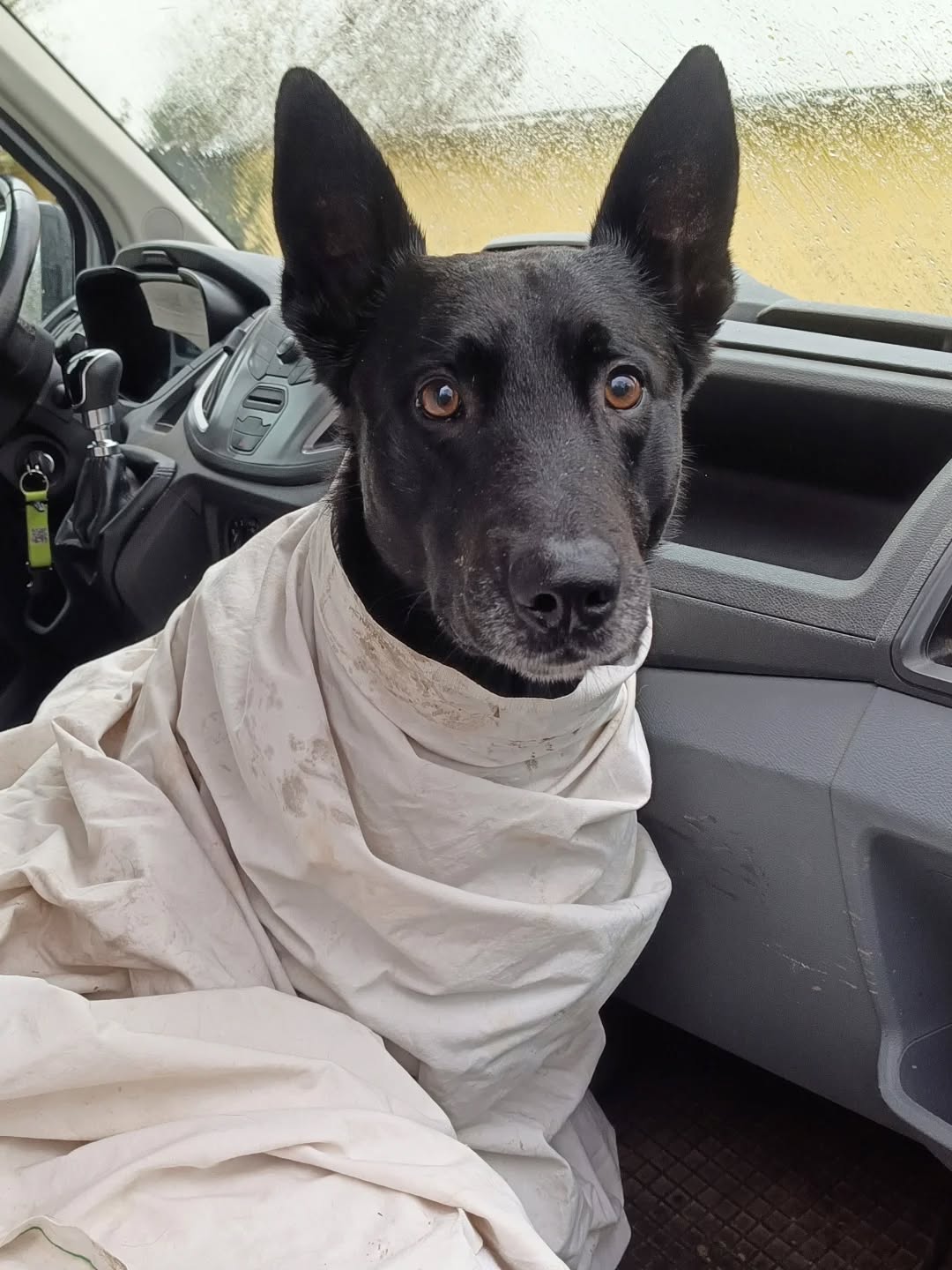 Wenn der Hilfsgärtner sein Bestes gegeben hat, alle Pfützentiefen korrekt zu erfassen aber Du ....