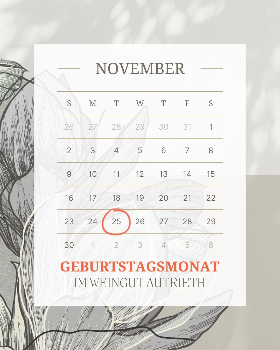🎉 Happy Birthday, Johannes! Unser Winzer & Chef feiert heute seinen Ehrentag und das in einer besonders aufregenden Woche: In der Nacht von Sonntag auf Montag war es in Hadres kalt genug, um die Eisweinlese 2025 zu vollbringen. ❄️ Ein vorzeitiges Geburtstagsgeschenk, wenn man bedenkt, wie sehnlich w…