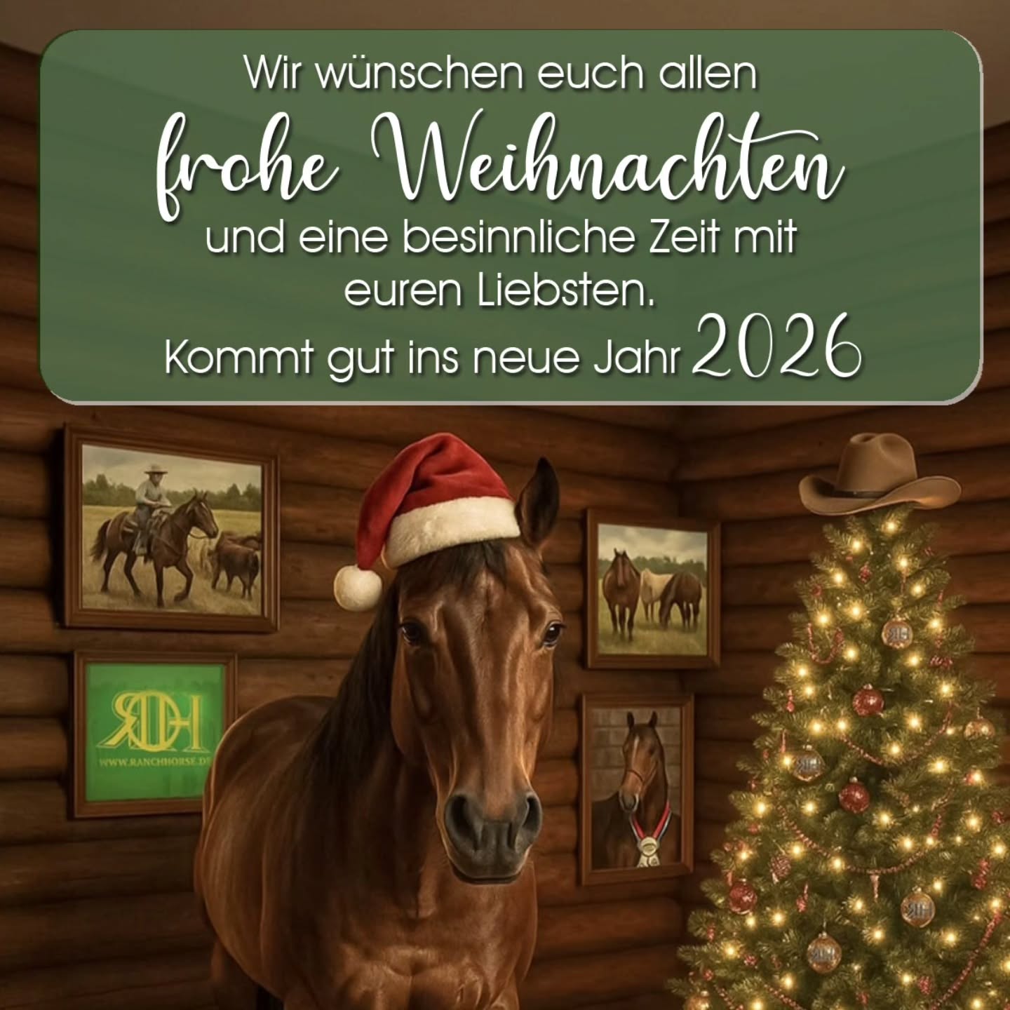 #weihnachten2025 #ranchhorseev #frohesneuesjahr2026