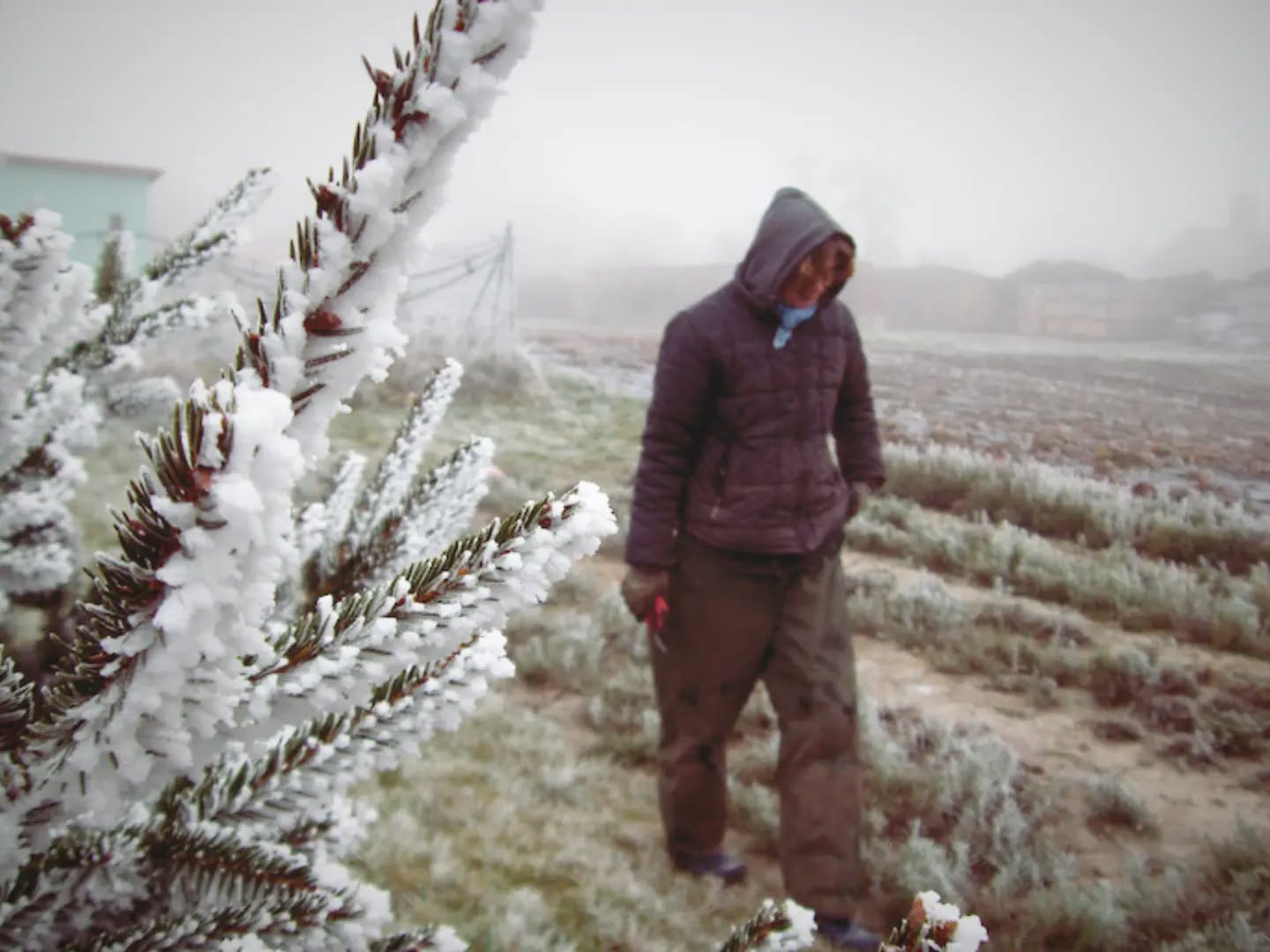 Ihr Lieben, wir wünschen Euch schöne Festtage und hoffen, Ihr könnt die letzten Tage des Jahr....