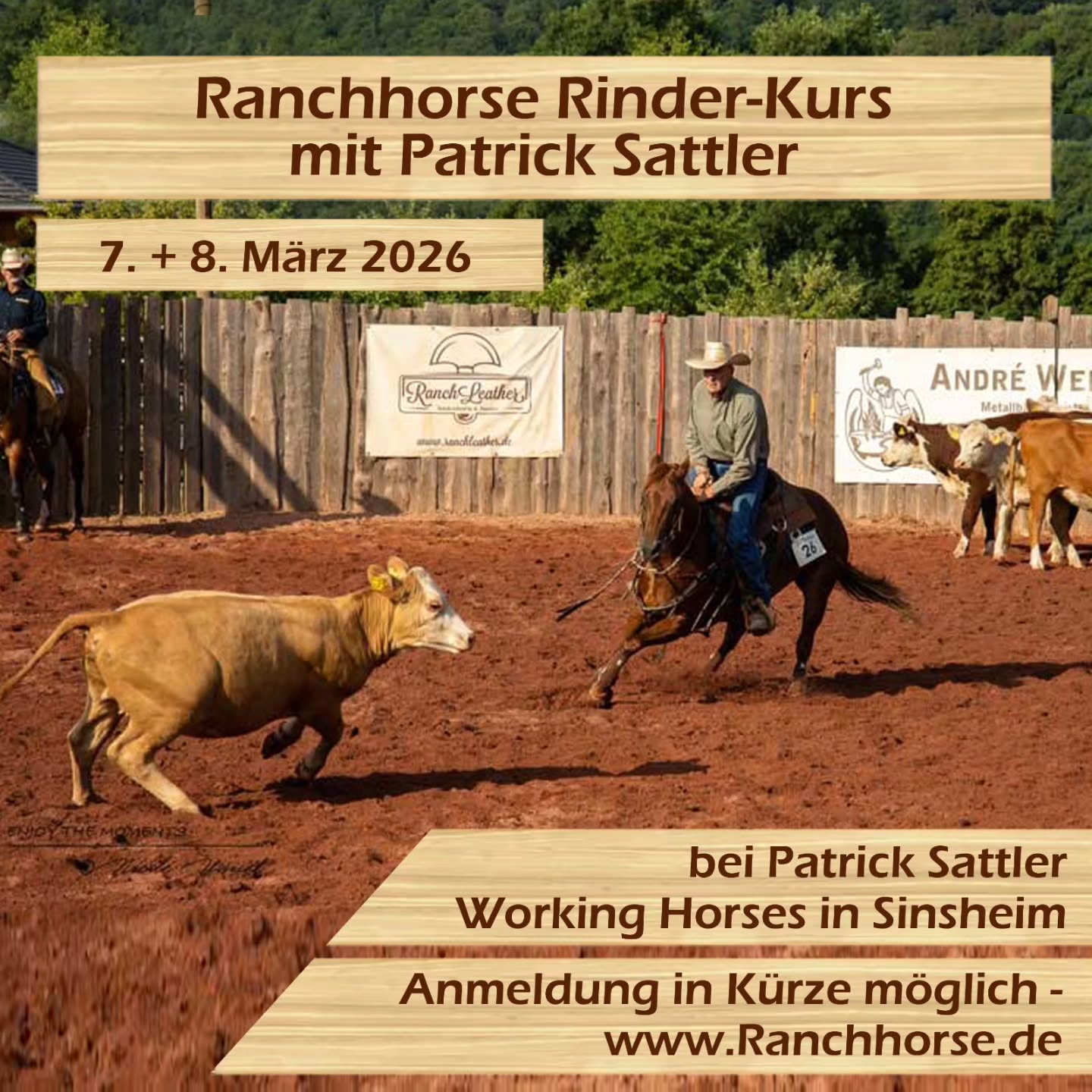 Ein neues Jahr und der erste Kurs startet.
Ein super Training am Rind mit Patrick.
Ich kann es nur empfehlen.
#ranchhorseev #ranchhorse #cutting #ranchcutting #reitkurs