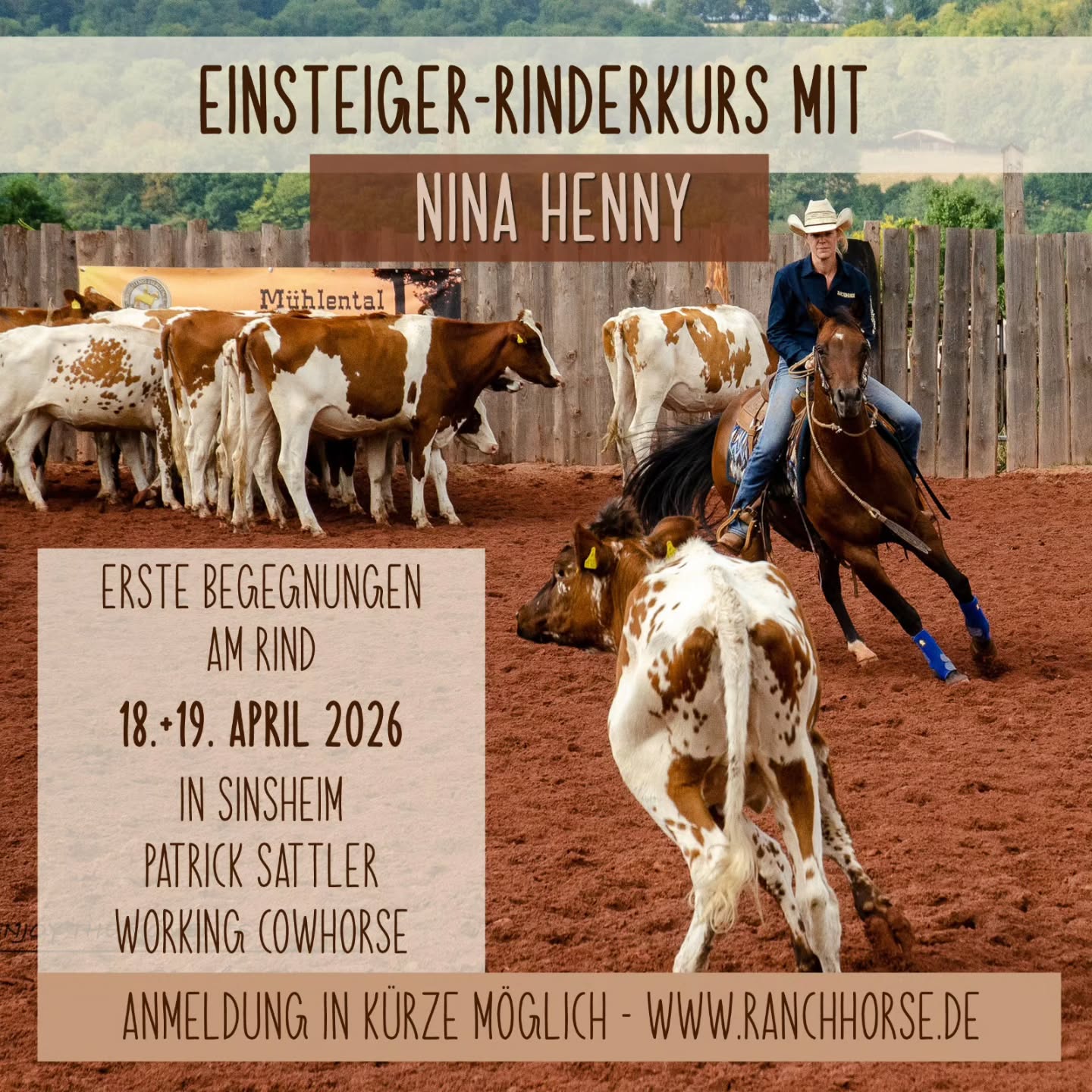 Der zweite Kurs für dieses Jahr steht in den Startlöchern.
Ihr wolltet schon immer mal testen wie euer Pferd sich in der Rinderarbeit macht. Hier ist der perfekte Kurs dafür.
#ranchhorseev #Westernreiten #ranchcutting #westernkurse #reitkurs