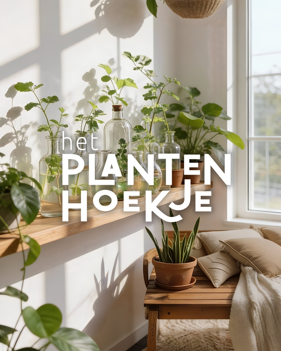 𝐆𝐫𝐨𝐞𝐧 𝐠𝐫𝐨𝐞𝐢𝐭 𝐨𝐩 𝐳𝐢𝐣𝐧 𝐞𝐢𝐠𝐞𝐧 𝐭𝐞𝐦𝐩𝐨 🌿✨ Niet alles hoe…