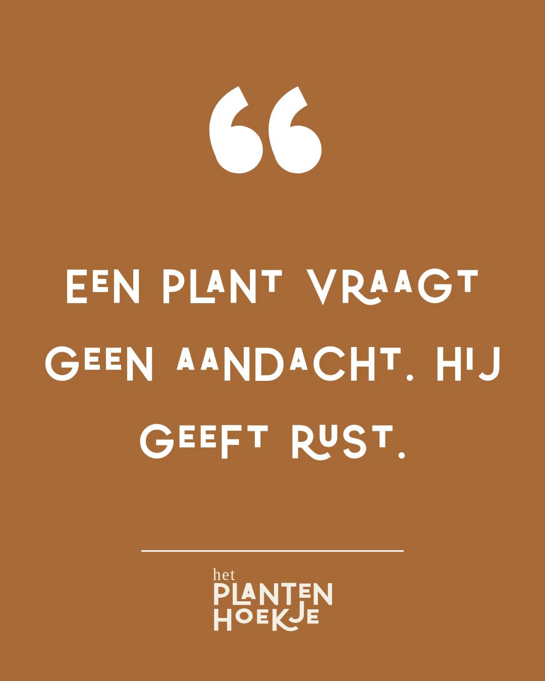 🌿 𝐄𝐞𝐧 𝐩𝐥𝐚𝐧𝐭 𝐯𝐫𝐚𝐚𝐠𝐭 𝐠𝐞𝐞𝐧 𝐚𝐚𝐧𝐝𝐚𝐜𝐡𝐭. 𝐇𝐢𝐣 𝐠𝐞𝐞𝐟𝐭 𝐫𝐮𝐬𝐭.…