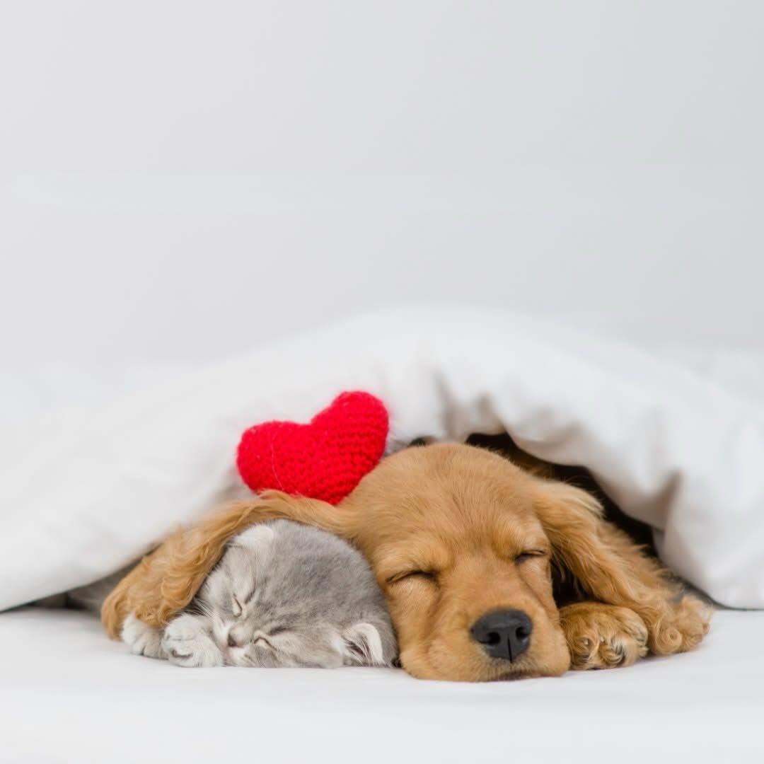 Instapost-18082780270986504