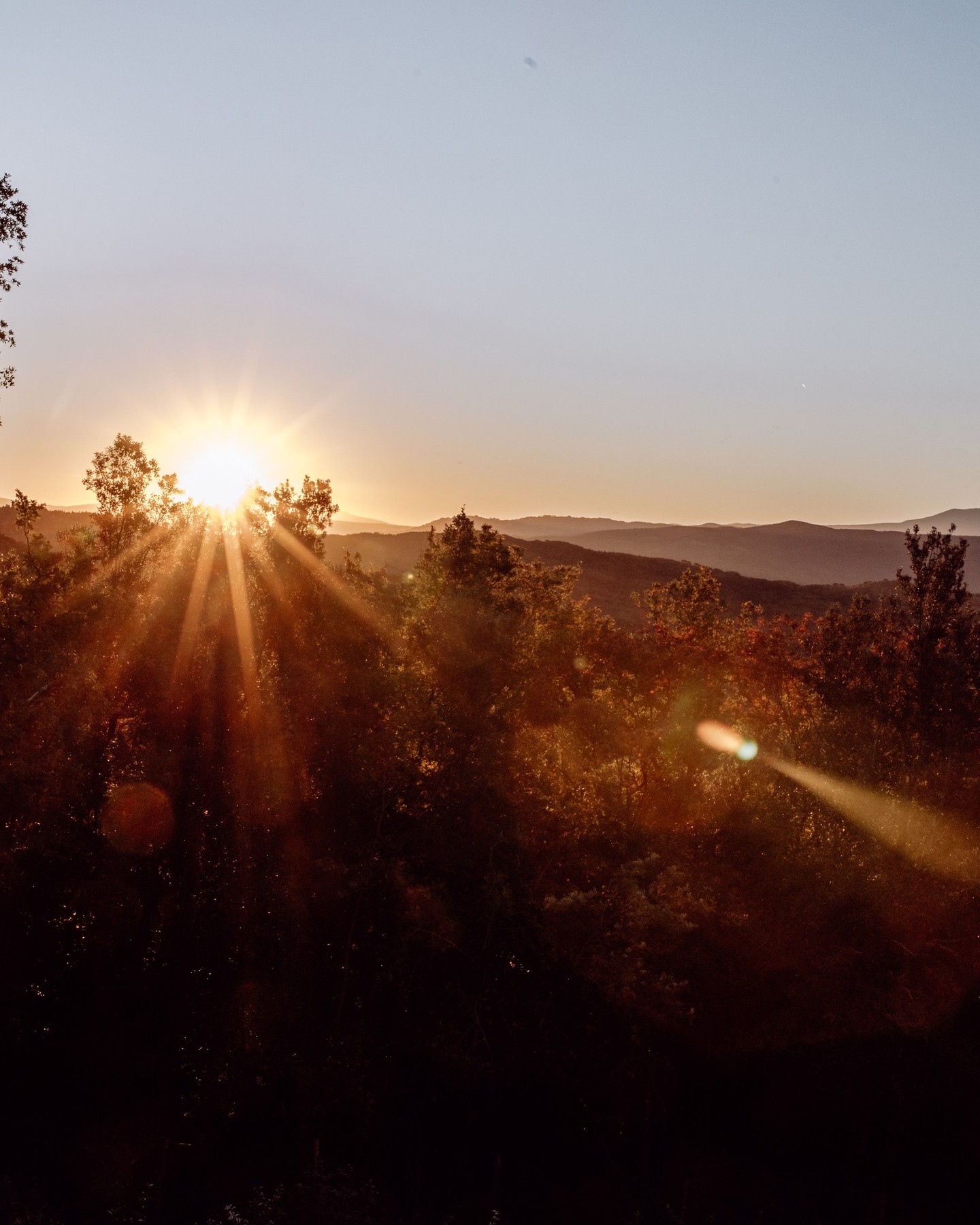 Der Himmel taucht die Landschaft in Gold und erinnert uns daran, wie schön die einfachen Momente sind. Dieser Augenblick ist mehr als ein Sonnenuntergang – er ist Ruhe, Dankbarkeit und pure Lebensfreude. Und genau dieses Gefühl tragen wir in jedem Tropfen weiter. 🌱
#Oillers #Sonnenuntergang #Genussmomente #ToskanaGefühl #OlivenölGenuss #ExklusivesOlivenöl #FeinsterGeschmack #ToskanaLiebe #MadeInItaly ##NatürlichGenießen #PureQualität #GoldDerToskana