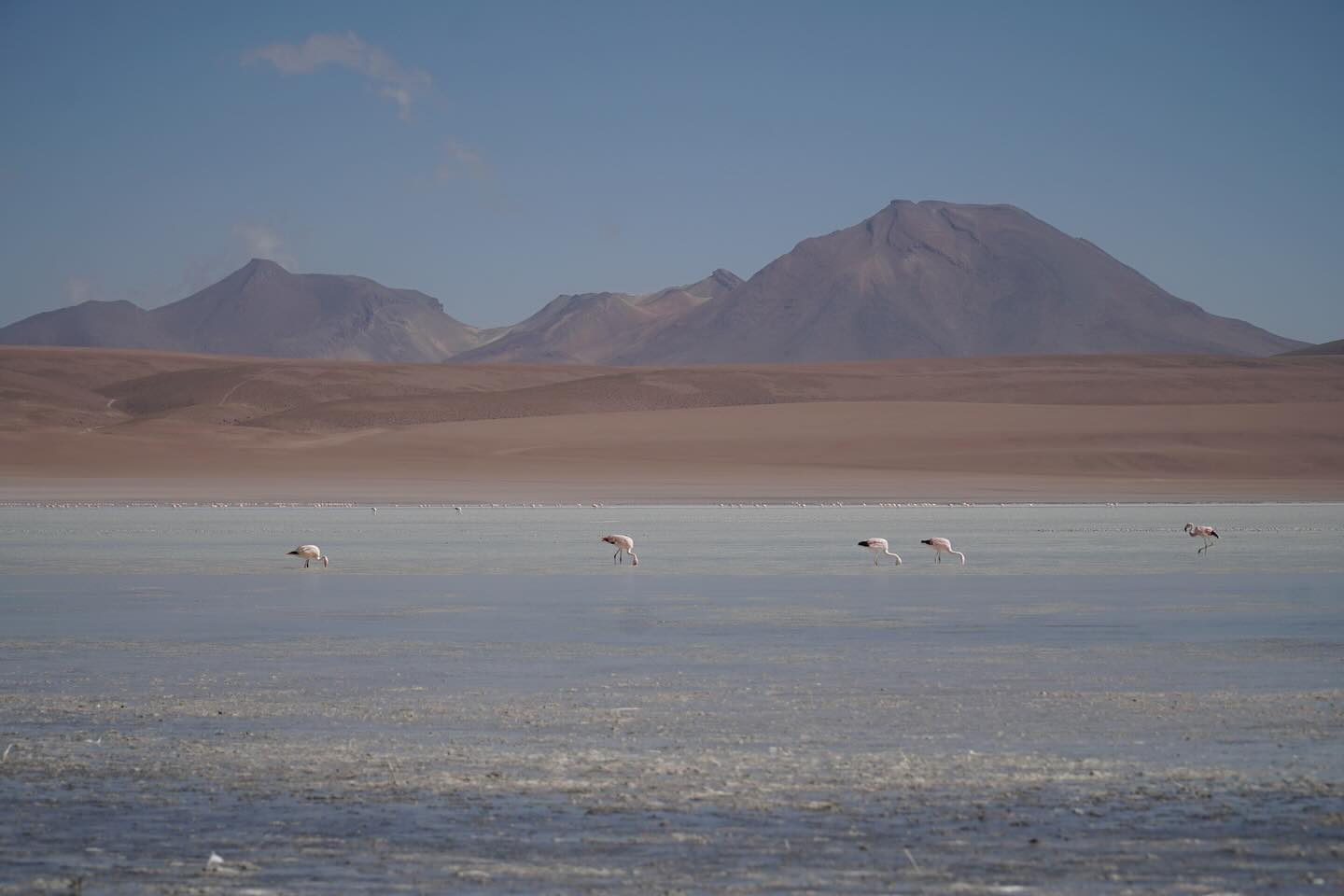 In Uyuni stand für uns dann eine dreitägige Jeeptour an, die wir von Charlottes Eltern zum Geburtstag geschenkt bekommen hatten und die gleichzeitig ein Highlight war, auf das wir uns schon sehr lange freuten. Den ersten Tag verbrachten wir dabei zum größten Teil auf dem Salar de Uyuni. Für uns war es ein etwas ungewohntes Gefühl von einer Gruppe abhängig zu sein. An eine zeitliche Vorgabe pro Sehenswürdigkeit mussten wir uns erst gewöhnen. Schon beim Sonneuntergang auf dem Salar war der Zeitdruck jedoch verschwunden und wir konnten einen der schönsten Sonnenuntergänge der Reise vollkommen genießen. Nach einer Nacht in einem Salzhotel ging es am nächsten Tag in die Höhe. Vorbei am Vulkan Ollagüe fuhren wir dann zur Laguna Colorada und danach noch zu den Geysiren des Sol de la Mañana. Auf 5000 Metern war es kurz vor Sonnenuntergang schon echt ziemlich kalt. Doch die Aktivität des Vulkans in Form von Rauch und blubbernder Flüssigkeiten zu sehen, war schon sehr besonders. Außerdem konnten wir uns dann am Abend in den heißen Quellen unter einem atemberaubenden Sternenhimmel wieder aufwärmen. Der nächste Morgen startete dann mit der Fahrt zur Laguna Verde (nicht zu verwechseln mit der am San Francisco Pass). Anschließend fuhren wir dann mit einigen Zwischenstopps zurück nach Uyuni. Insgesamt auf jeden Fall eine wirklich schöne Tour mit unvergesslichen Erlebnissen, die wir nicht missen wollen würden.
PS: Wir sind zwar nun schon seit über einem Monat wieder zu Hause, sind jedoch noch nicht dazu gekommen die fehlenden Instagram-Beiträge zu schreiben. In den nächsten Wochen wird dies dann aber hoffentlich in regelmäßigen Abständen nachgeholt.