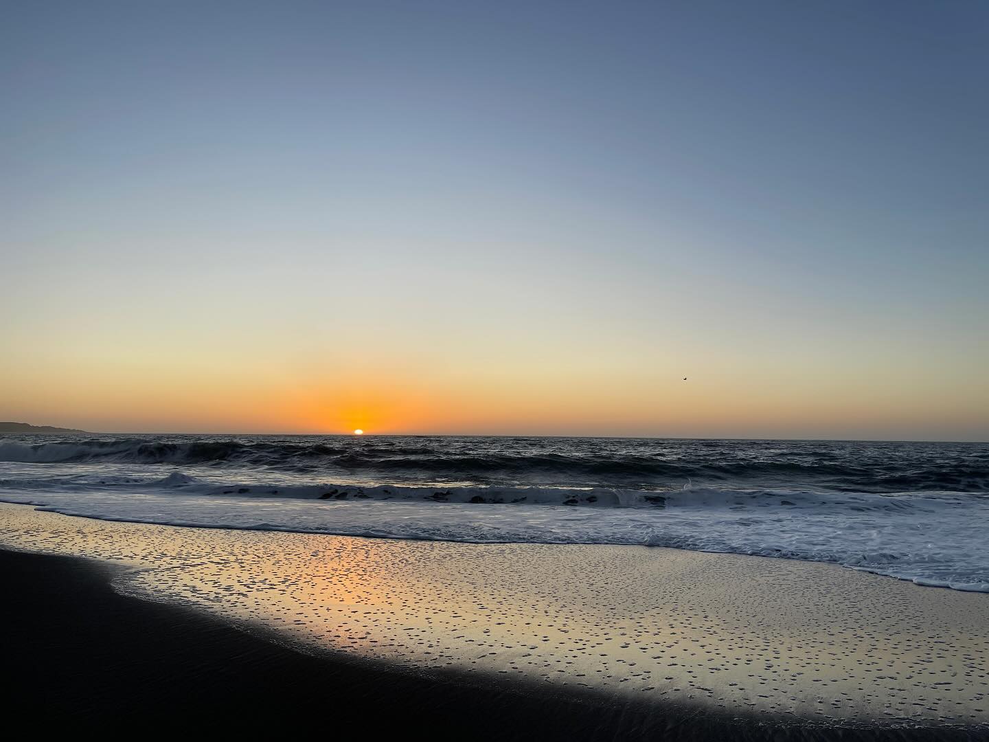 Ende Januar ging es dann für uns wieder von Argentinien über den Paso Mamuil Malal nach Chile. An Yannik’s Geburtstag überquerten wir die Grenze am Fuße des Vulkans Lanin und genossen am folgenden Tag einen Ruhetag mit Blick auf den glühenden Villarrica. Von dort aus ging es dann weiter an die chilenische Pazifikküste, wo uns eine Schotterstraße mit Vogelspinnen, Schlangen, Skorpionen, aber auch wunderschönen Sonnenuntergängen begrüßte.
Den ausführlichen Bericht gibt es wie immer auf unserer Webseite: https://www.zuzweitweg.de/suedamerika-23-24/villarrica-und-chilenische-pazifikkueste/2024/03/28/