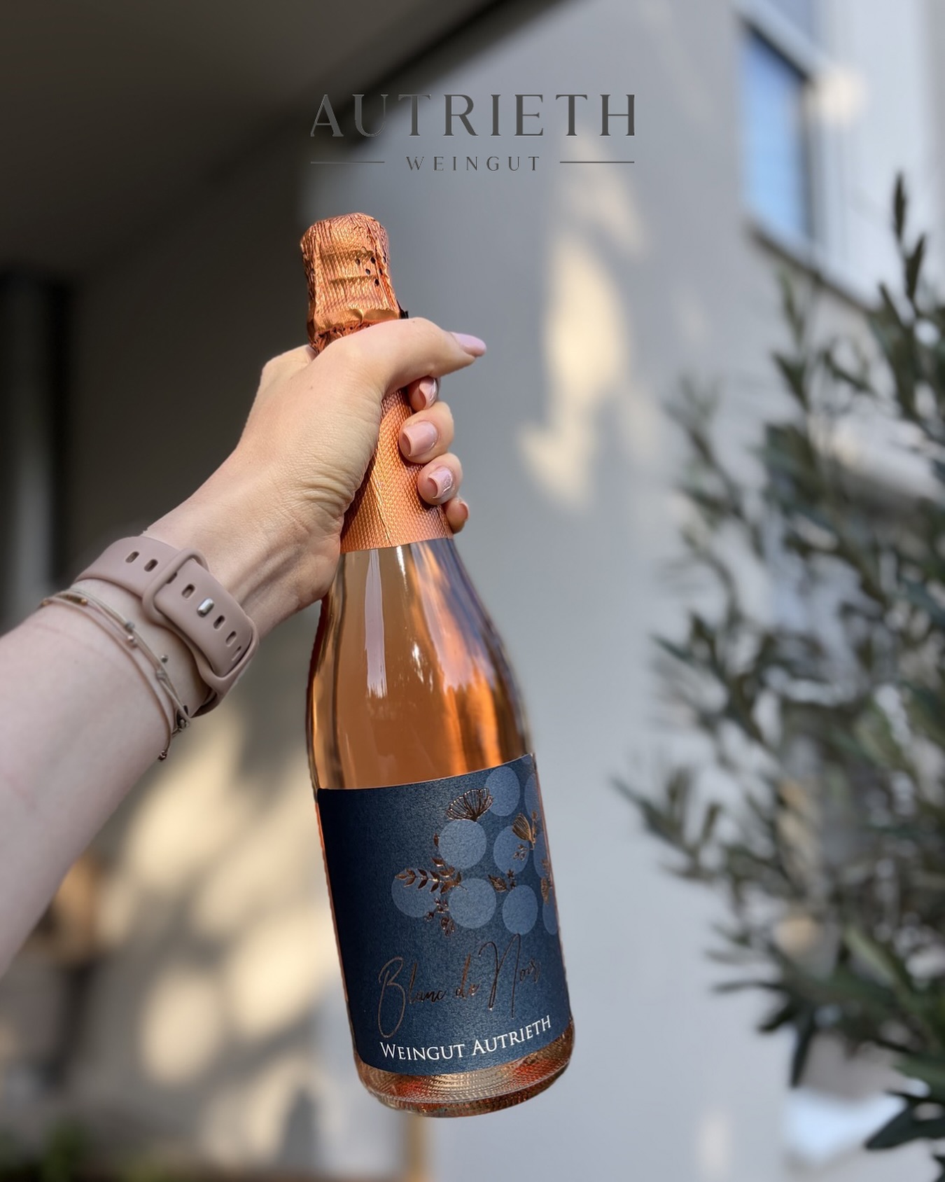 Am Sonntag ist Muttertag 🌸🥂 Zeit, einfach mal Danke zu sagen. Zeit, Mama zu verwöhnen. Schenk ihr besondere Genussmomente – mit Liebe ausgewählt und perfekt zum Anstoßen. 🍾 Jetzt noch schnell in unserem Onlineshop bestellen oder direkt bei uns in Hadres vorbeischauen! Zeit für Mama. Zeit zum Genieße…
