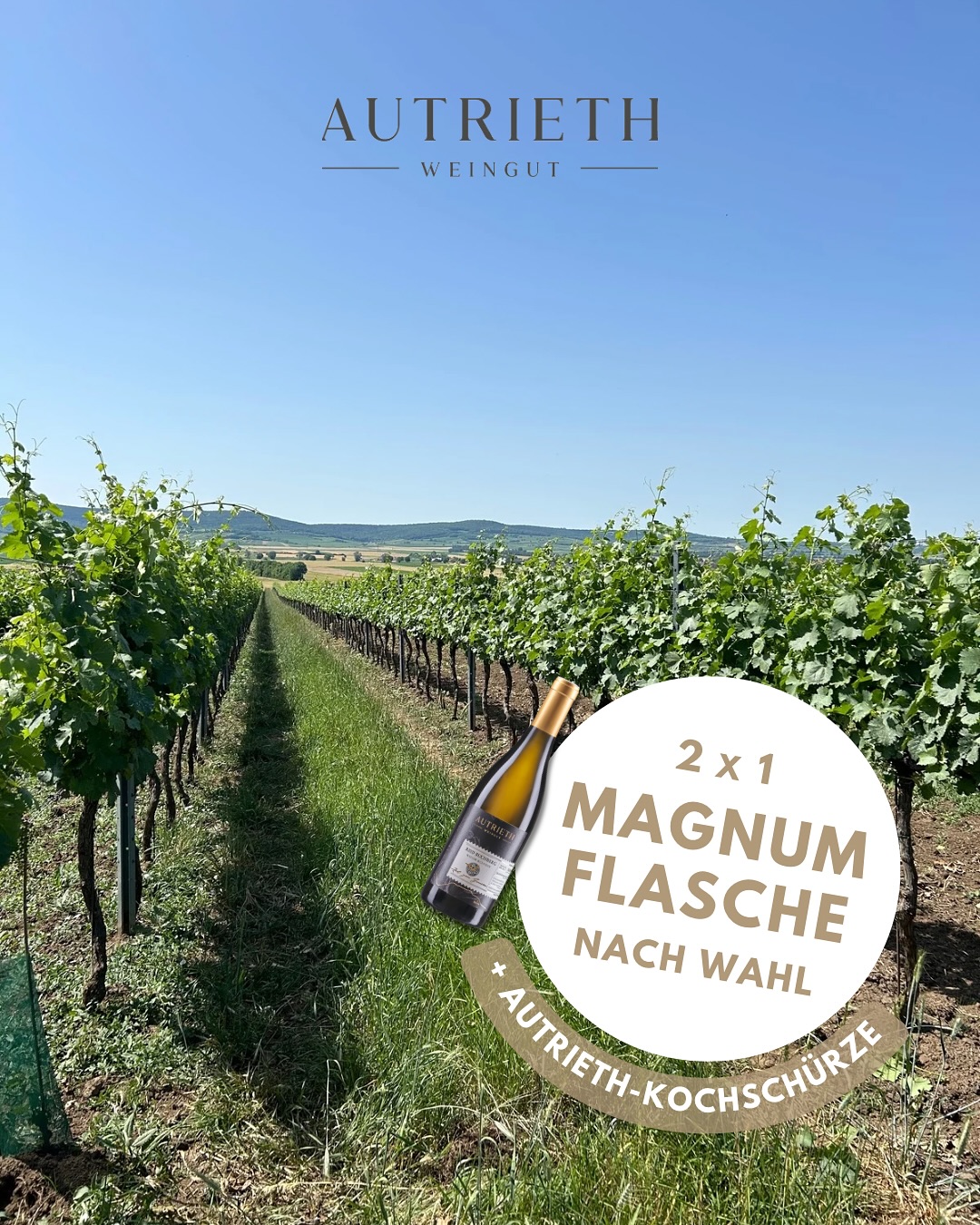 🔥 Das Wetter passt perfekt – die Grillsaison ist offiziell eröffnet! 🔥 Und was darf dabei auf keinen Fall fehlen? Natürlich ein guter Wein 🍷😉 Deshalb verlosen wir gemeinsam mit euch zwei Grillsaison-Starterpakete jeweils bestehend aus: 🍇 einer Magnumflasche nach Wahl 🍇 einer Autrieth-Kochschürze So…
