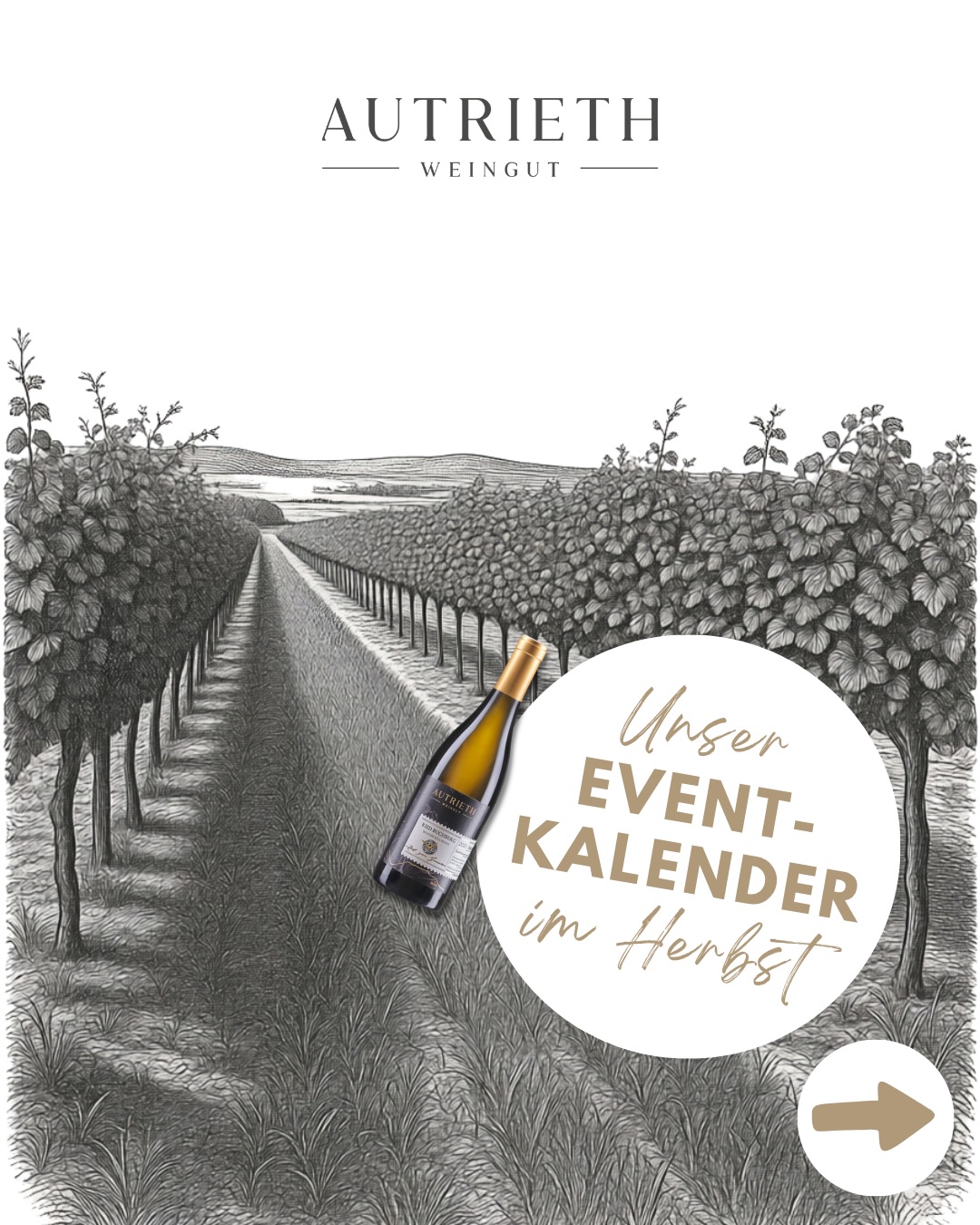 Unser Eventkalender im Herbst 🍂 10.10. von 9-17 Uhr - Sautanz im @dasgrafengut mit @maxstiegl | all you can eat and drink für 190€ p.P. 🐽 04.11. ab 18 Uhr - Big Bottle beim @goldeneradlerinnsbruck 🍾 05.11. von 16-21 Uhr - Jahreswein Messe im Schützenhaus in Feldkirch | @weineinblicke_mueller 🍷 27.…
